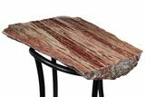 Arizona Petrified Wood Table With Metal Base #214471-6